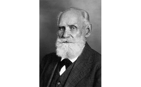 �͸�����æ�x���500��