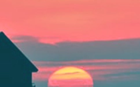 �茑������߅��������230��