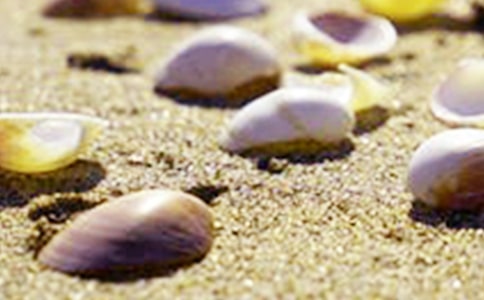 ؐ������300��[�؂�6ƪ]