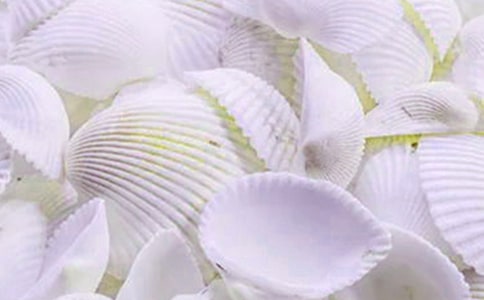 �茑ؐ�����N���ӵă�������