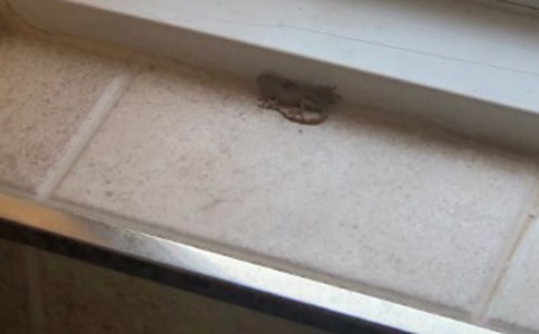 С�W���P�ڱڻ����^������