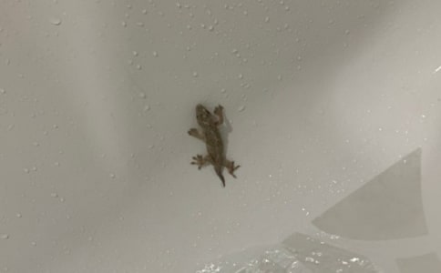 �����A���ڻ�����500����ƪ