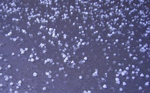 ����ı�������