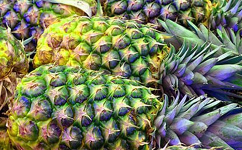 �P���茑���}�������450��