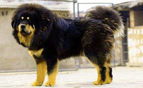 ���u�L���ᡷ�^���