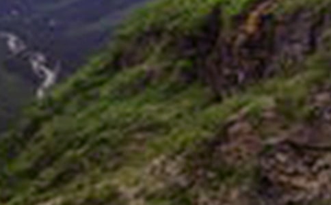 ��ɽ�еĜ�ů���ģ����x9ƪ��