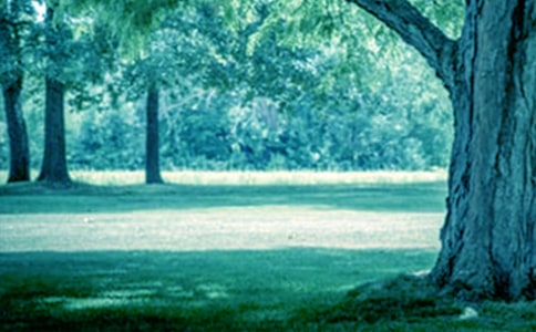 �˿��ó��L��һ�ô��o�H���������L������������