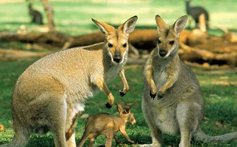 ӛһ�δ����\��������400��