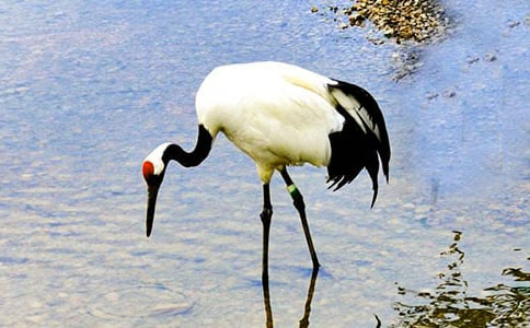 ����Q����600��5ƪ