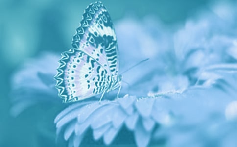 �^���ֲ�����ģ�ͨ��35ƪ��