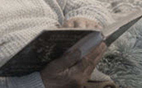 �y�����x��������