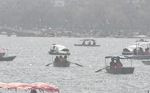 ������������