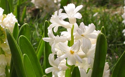 �����]���L��������