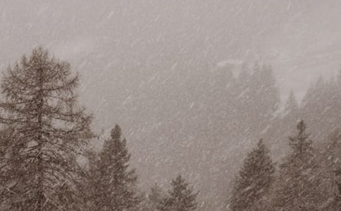 �茑���Lѩ�ĳ��Z