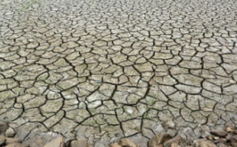 �ɺ��̕����҂�ʲô