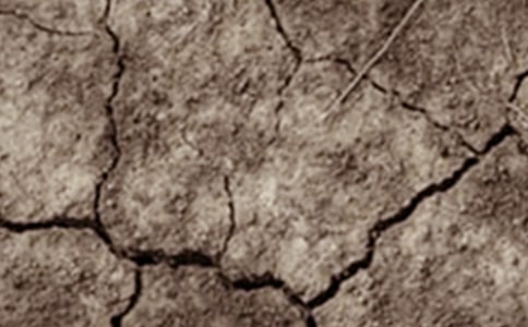 關于云南干旱的公益類作文(通用18篇)