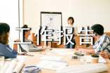 簡短的工作報告