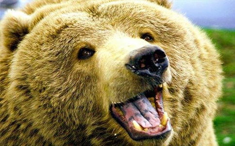 �����c���ѵĹ���