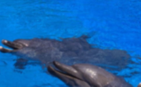 �����x�����������400��19ƪ