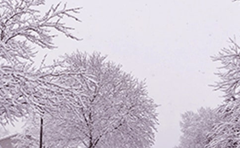 第一次面對寒潮的作文范文(精選14篇)