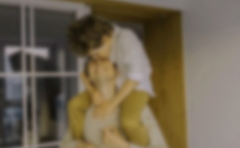 �����еĺðְ����}���ģ�ͨ��19ƪ��