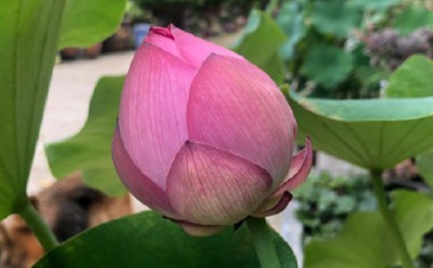 �x�����~�c�tɏ���и�