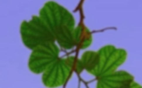 �����������C���Ծ���