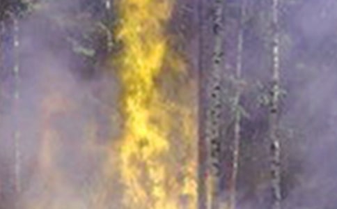 引防火災倡議書范文(通用12篇)