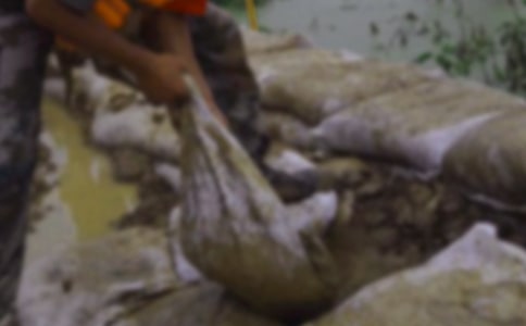 防汛抗洪宣傳標語