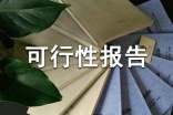項目策劃書可行性報告
