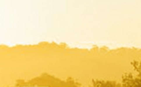 ΢Ц��ӭ��������������