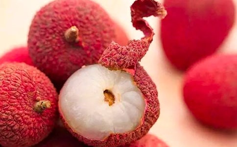 ������֦��������ָ��