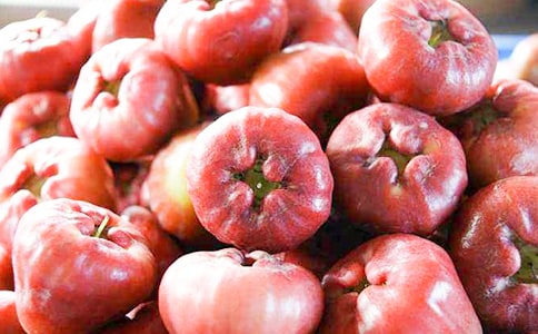 ɏ�F��������