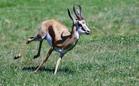 ����ľ��Č�5ƪ