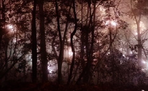 《哈佛凌晨四點半》觀后感-是什么造就了成功?