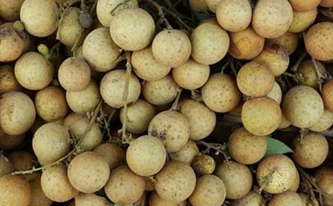 �Ґ۹��l����������[���]]