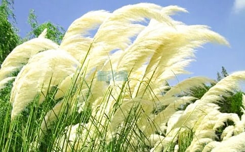 ���JȔ��ٝ�����x���