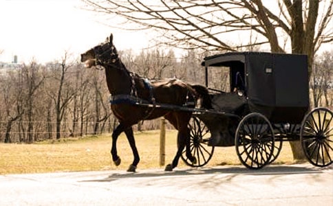 ǡ��R܇��ԭ���p�x