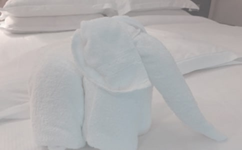 第一次洗毛巾的作文2篇