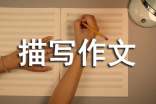 關于描寫作文