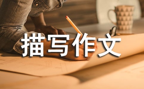 ��ò�茑����