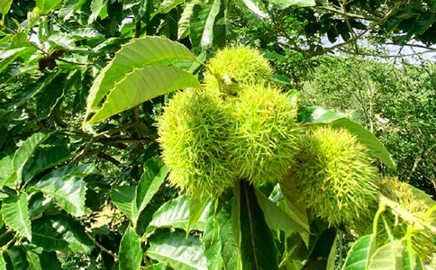 �r�Ҙ��������U��ͬ