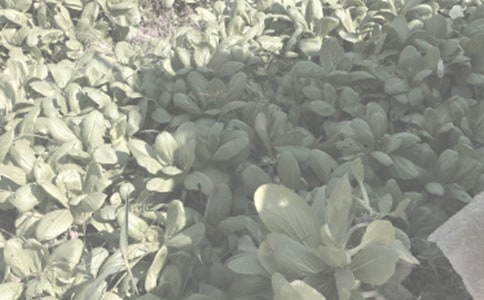 �r����N��ُ�N��ͬ(���x8ƪ)