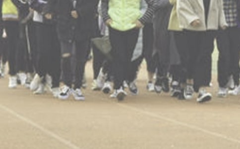 �ܲ��t���zӑ����ͨ��16ƪ��