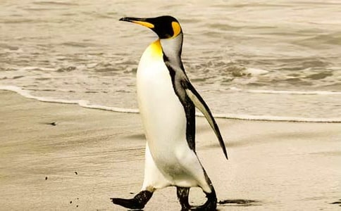 �������Z��ӛ���^������ģ����x23ƪ��