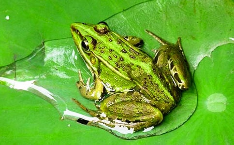 С���ܵ�'���L��ӛ�W������