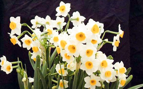 ˮ�ɻ��^����ӛ15ƪ�����㡿