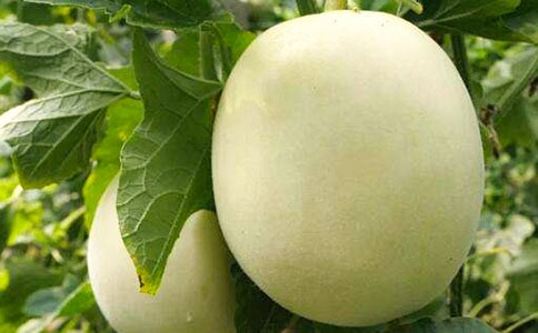 �P����ϵ�����300��