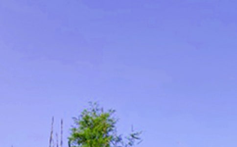 ���x���������簲�Z�ժ�66�l