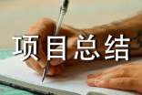項目總結報告(精選12篇)